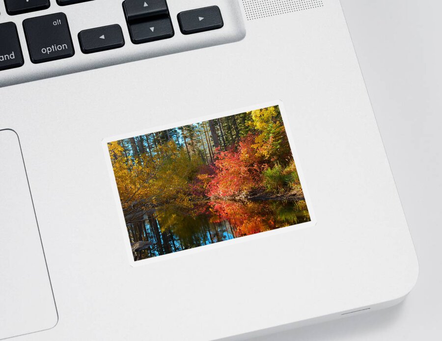 Landscape Sticker featuring the photograph Morning Glow by Jonathan Nguyen
