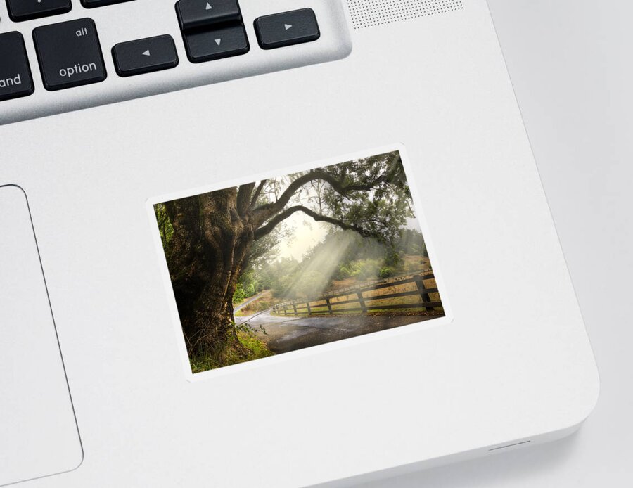 Clouds Sticker featuring the photograph Morning Light by Debra and Dave Vanderlaan