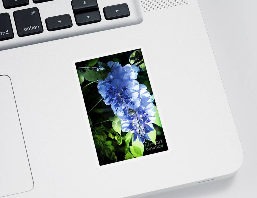 Flowers Sticker featuring the photograph Morning Lilac by Ellen Cotton