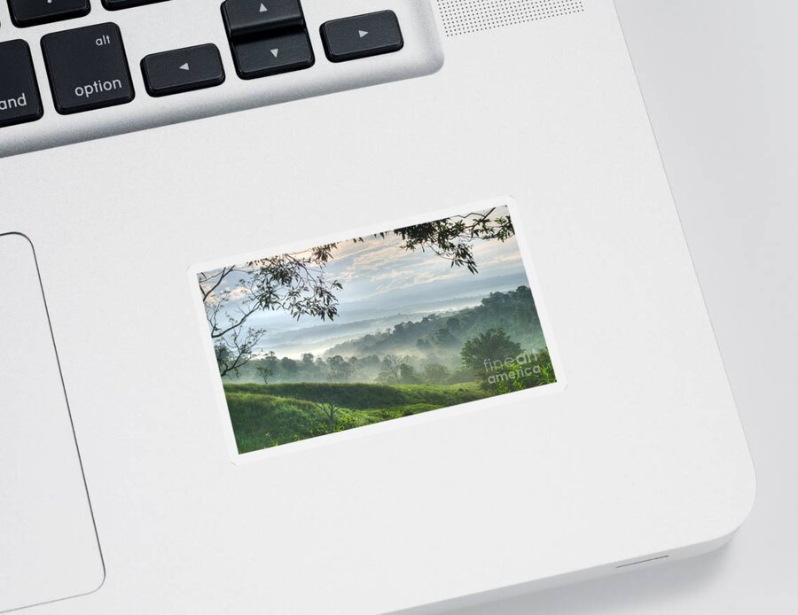 Landscape Sticker featuring the photograph Morning Mist by Heiko Koehrer-Wagner
