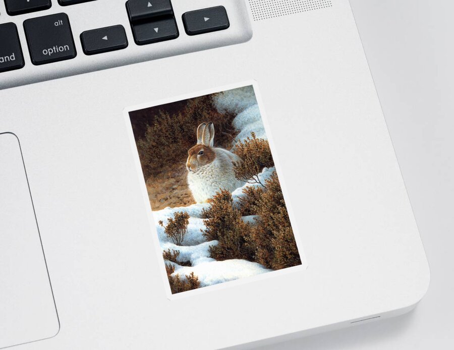 Animal Sticker featuring the photograph Mountain Hare In Snow In Winter by Ikon Ikon Images