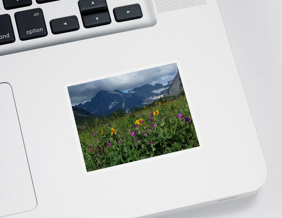 Mountain Sticker featuring the photograph Mountain Wildflowers by Alan Socolik