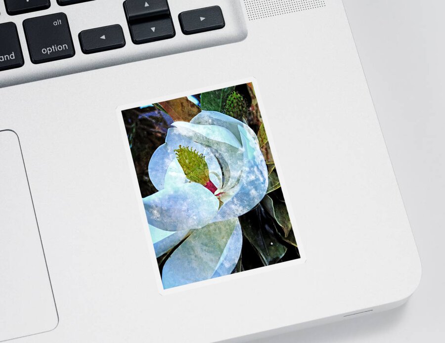 Flower Sticker featuring the photograph My Sweet Magnolia by Ella Kaye Dickey