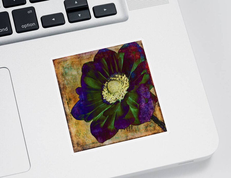 Anemone Sticker featuring the photograph New Hue by Caitlyn Grasso