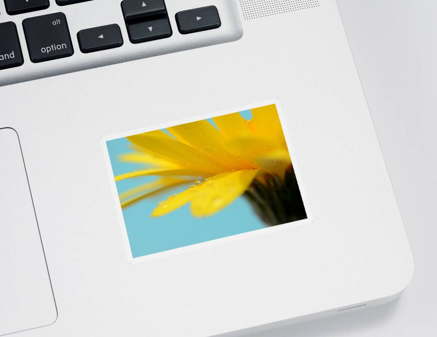 Flower Sticker featuring the photograph No Matter What by Melanie Moraga