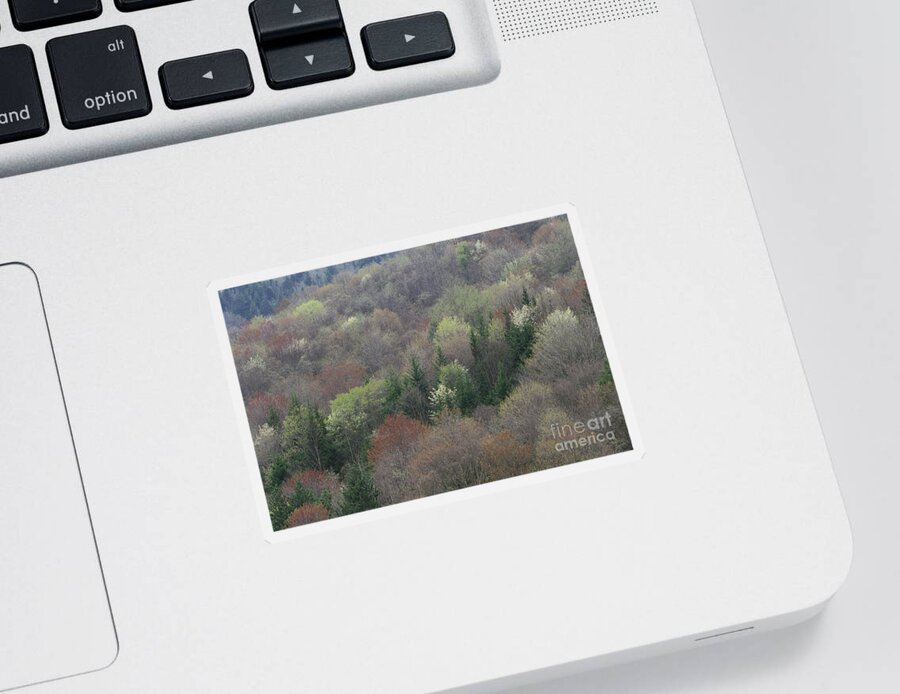 Outdoors Sticker featuring the photograph North Carolina Forest by Art Wolfe