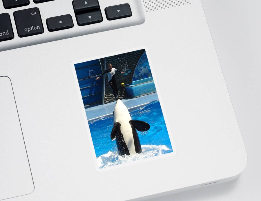 Orcas Sticker featuring the photograph Nose Dive by David Nicholls