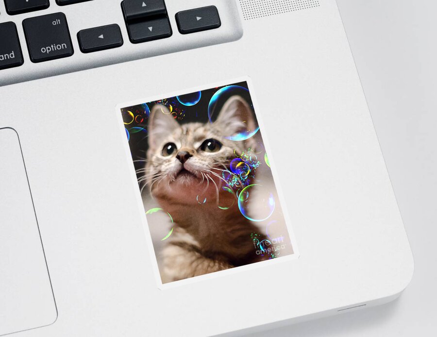 Cat Sticker featuring the photograph Oh What a Wonderful World by Klara Acel