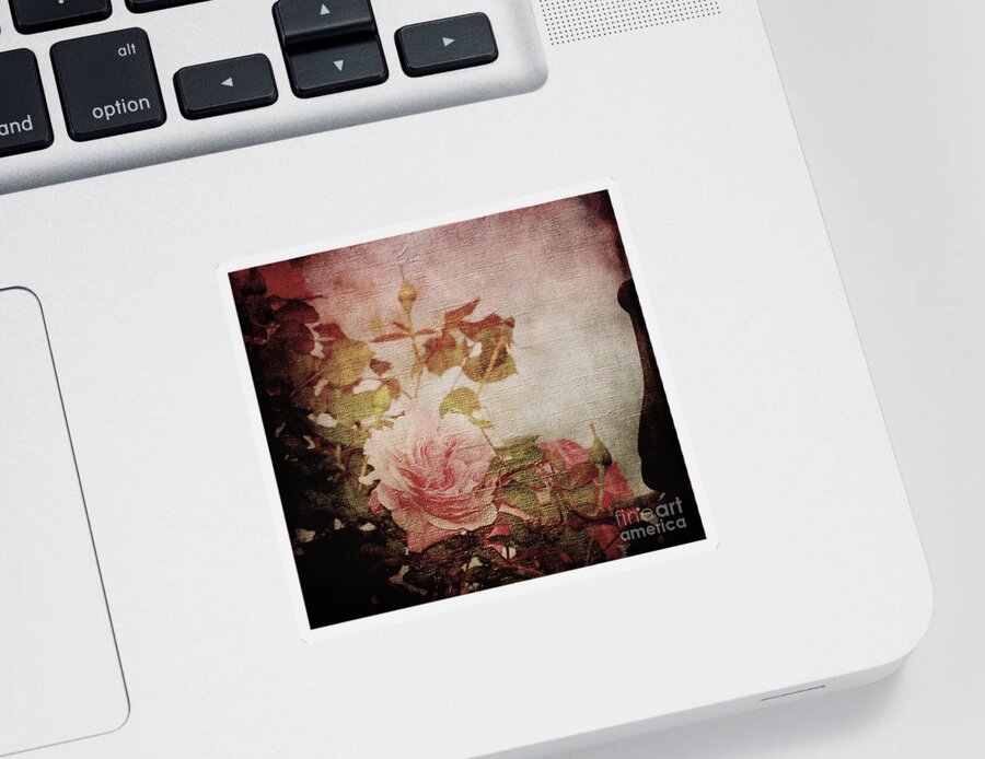 Rose Sticker featuring the photograph Old Fashion Rose by Judy Wolinsky