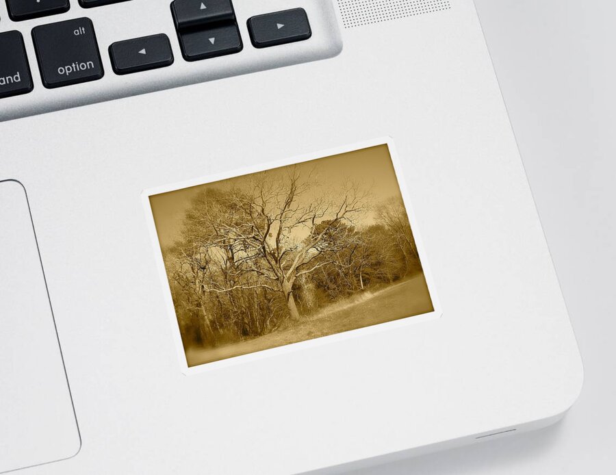 Old Sticker featuring the photograph Old Haunted Tree In Sepia by Chris W Photography AKA Christian Wilson