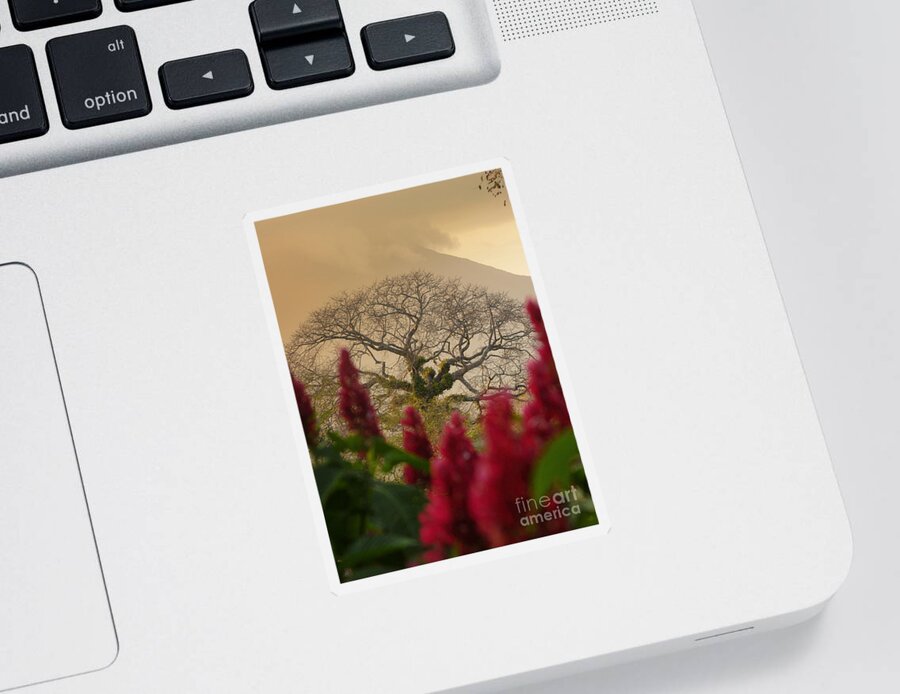 Nature Sticker featuring the photograph Ometepe Island Nicaragua 4 by Rudi Prott