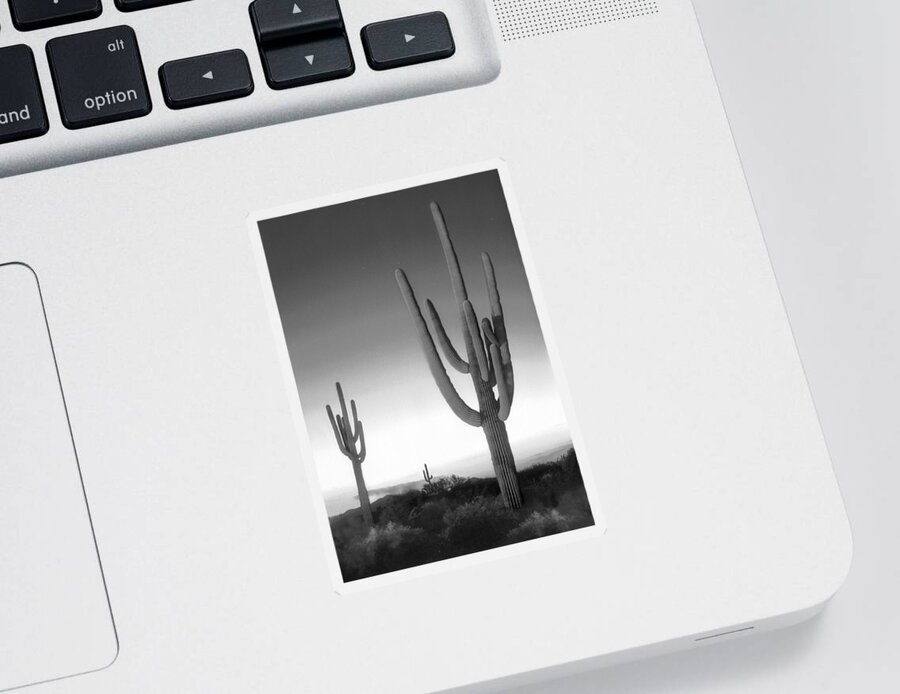Arizona Landscape Sticker featuring the photograph On the Border by Mike McGlothlen