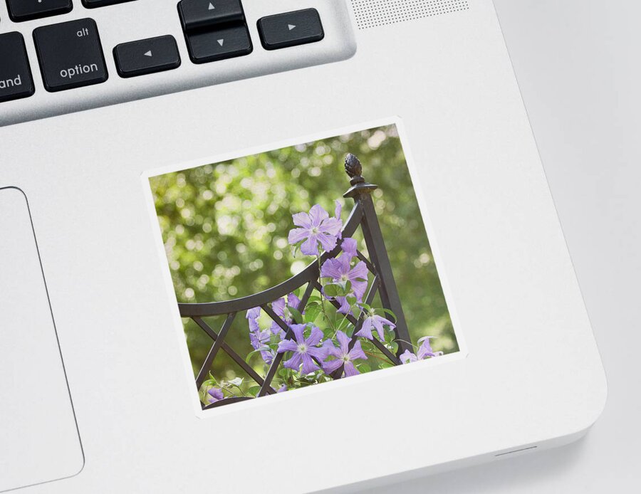 Purple Flower Sticker featuring the photograph On The Fence by Kim Hojnacki