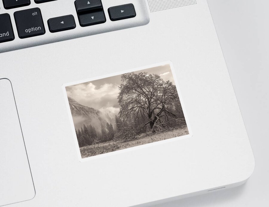 Landscape Sticker featuring the photograph One Beauty Sepia by Jonathan Nguyen