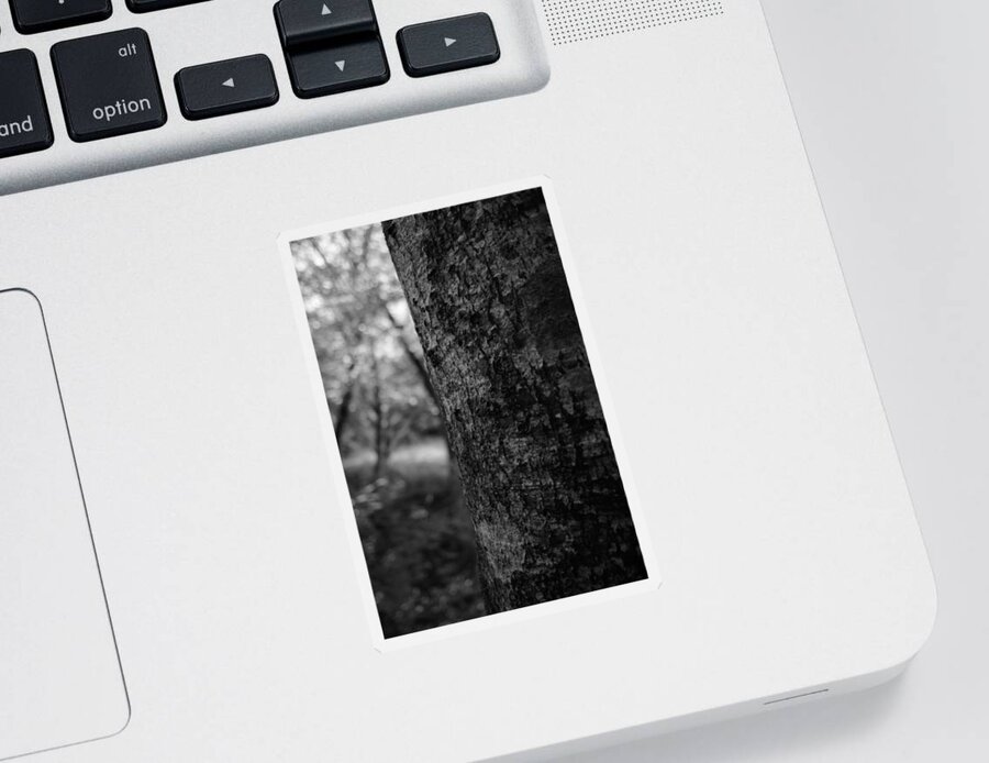 Miguel Sticker featuring the photograph One in the Forest by Miguel Winterpacht