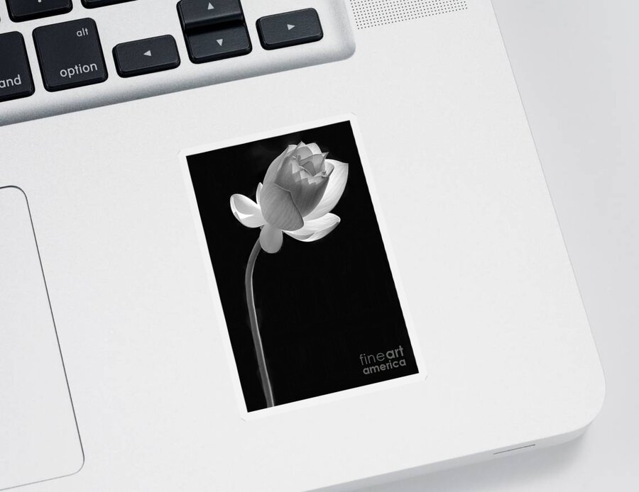  Sticker featuring the photograph One Lotus Bud by Sabrina L Ryan
