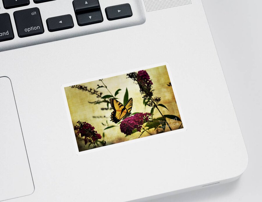 Butterfly Sticker featuring the photograph One Summer Day 2 by Judy Wolinsky