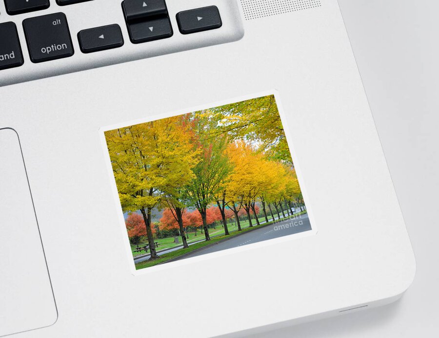 Fall Sticker featuring the photograph Row Of Trees by Kirt Tisdale