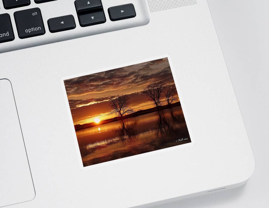 Landscape Sticker featuring the photograph Orange Morning by Fiskr Larsen
