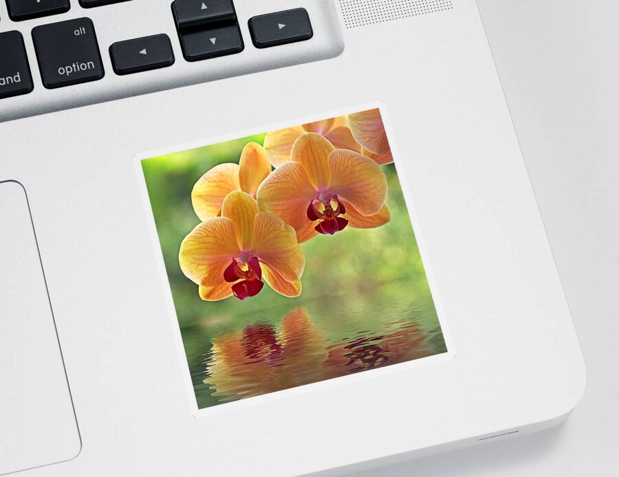 Orchid Sticker featuring the photograph Oriental Spa - Square by Gill Billington