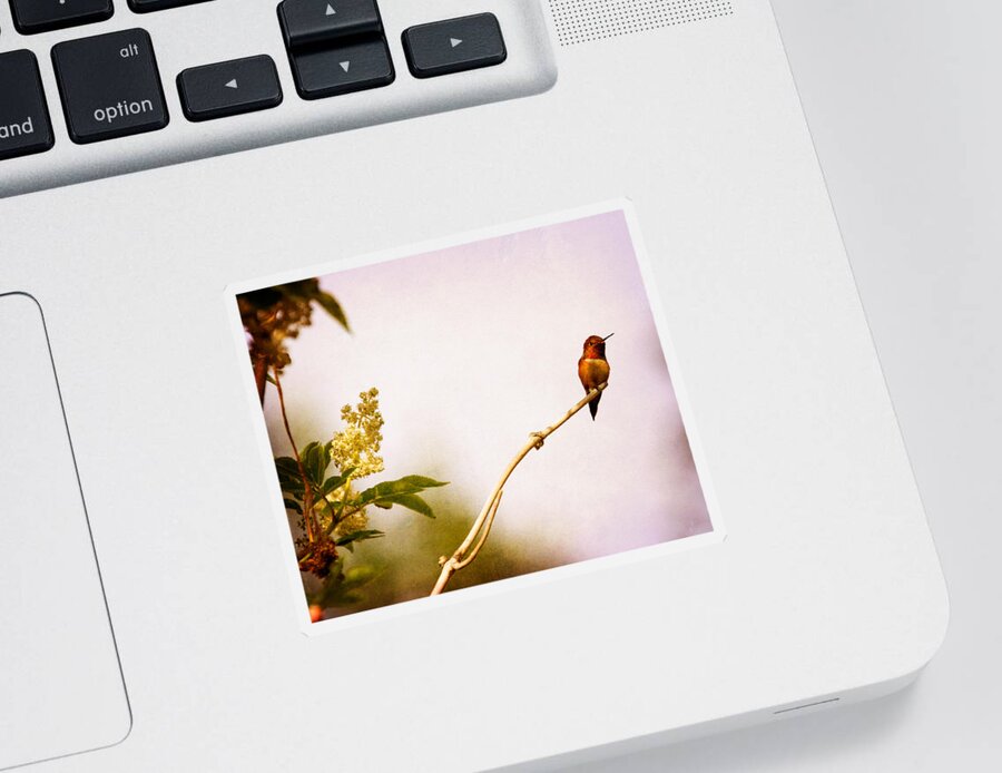 Hummingbird Sticker featuring the photograph Out on a Limb by Peggy Collins