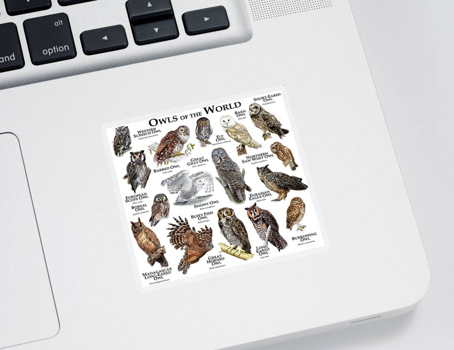 Art Sticker featuring the photograph Owls Of The World by Roger Hall