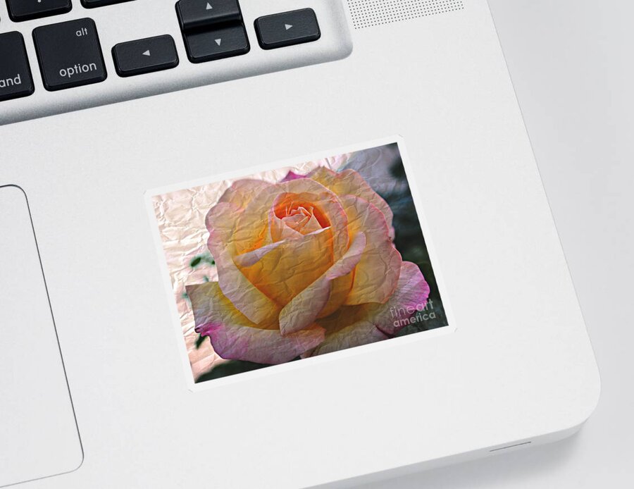 Rose Sticker featuring the photograph Painted Paper Rose by Judy Palkimas