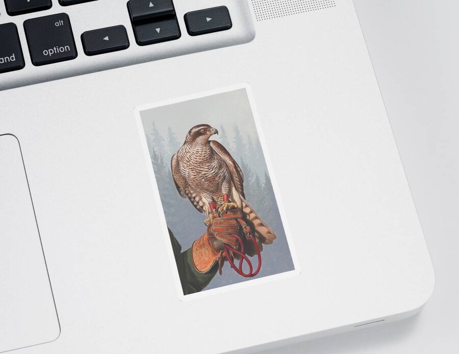 Acrylic Painting Sticker featuring the photograph Painting Of Goshawk Perched by Ikon Images