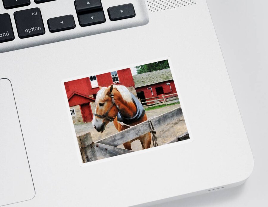 Horse Sticker featuring the photograph Palomino By Red Barn by Susan Savad