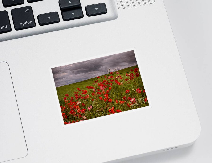 Poppies Sticker featuring the photograph Palouse Poppies by Priscilla Burgers