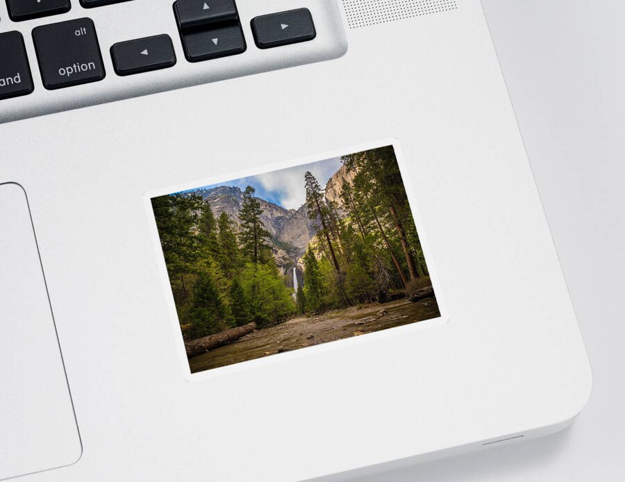 Yosemite Sticker featuring the photograph Parting Trees by Kristopher Schoenleber