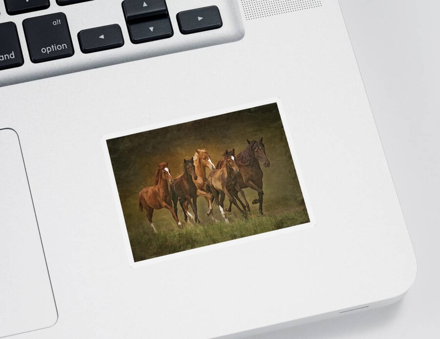 Horses Sticker featuring the photograph Paso Peruvians by Priscilla Burgers