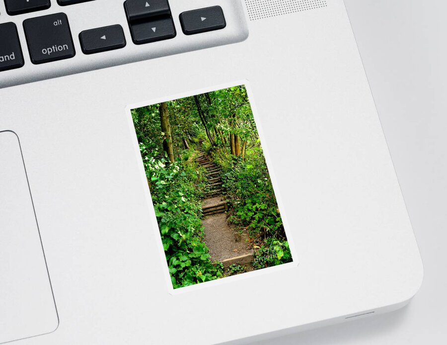 Path Sticker featuring the photograph Path Into The Forest by Scott Lyons