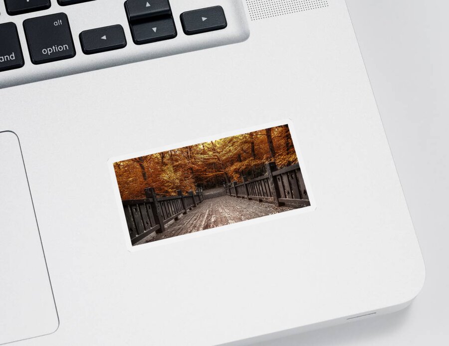 Landscape Sticker featuring the photograph Path to the Wild Wood by Scott Norris