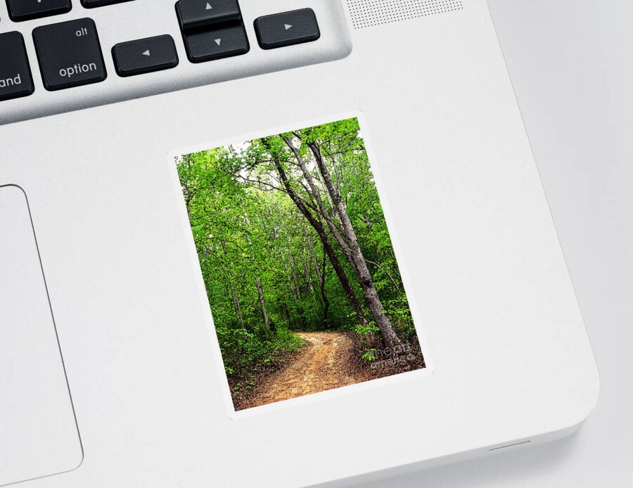 Dirt Road Sticker featuring the photograph Peaceful Walk by Lydia Holly