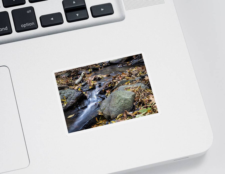 Andrew Pacheco Sticker featuring the photograph Peaceful Woodland Stream by Andrew Pacheco