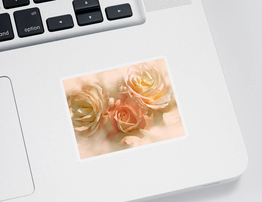 Rose Sticker featuring the photograph Peach Roses in the Mist by Jennie Marie Schell