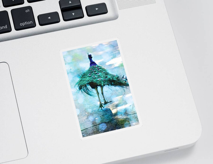 Arboretum Sticker featuring the photograph Peacock Walking Away by Diana Haronis