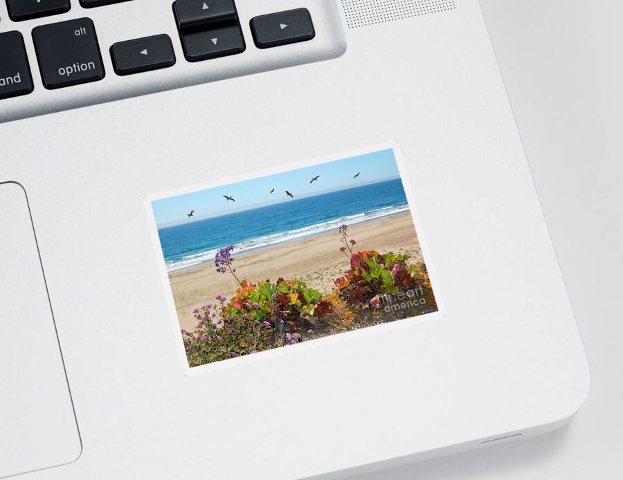 Pismo Beach Sticker featuring the photograph Pelicans And Flowers on Pismo Beach by Debra Thompson