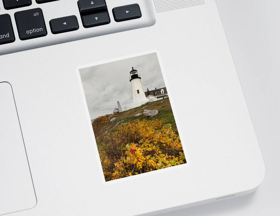 Lighthouse Sticker featuring the photograph Pemaquid Point Lighthouse and Sea Roses by David Smith