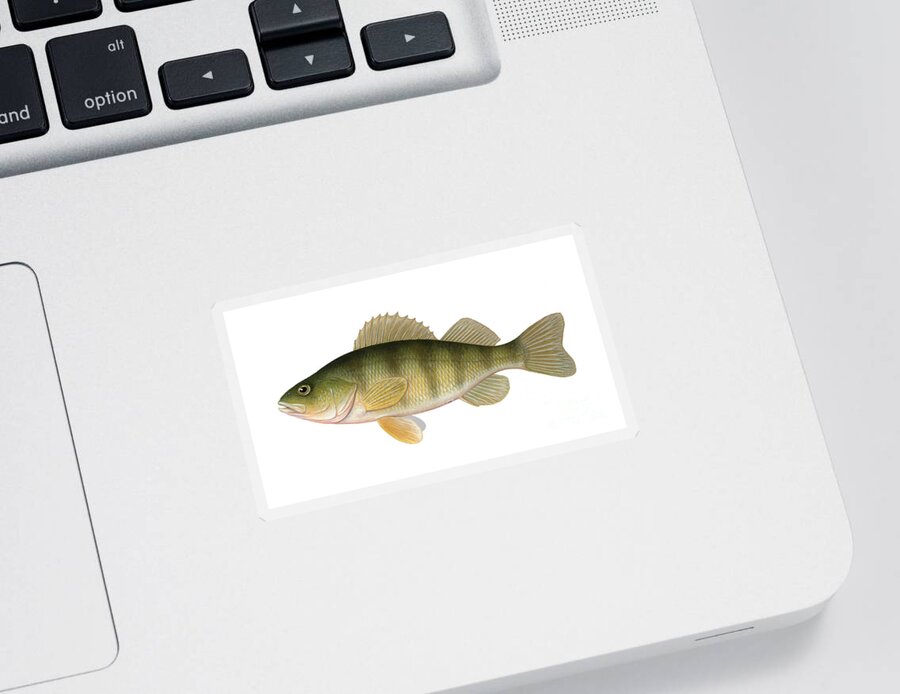 Perch Sticker featuring the photograph Perch by Carlyn Iverson