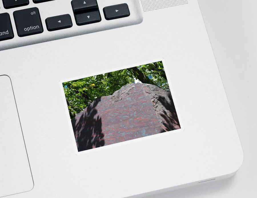 Petrified Wood Sticker featuring the photograph Petrified Wood on Display by Kenny Glover