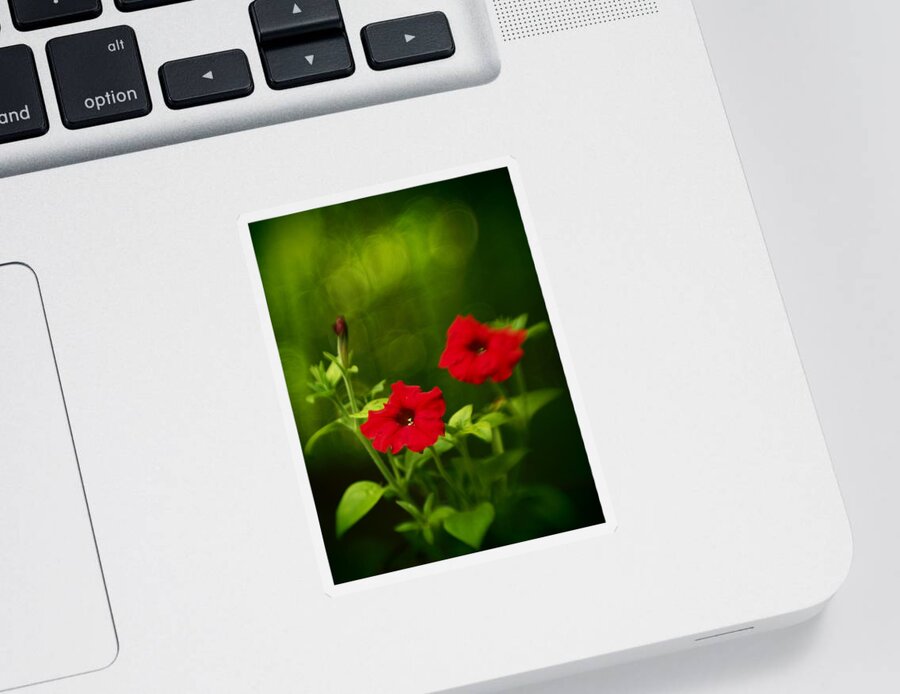 Flowers Sticker featuring the photograph Petunia Dreams In The Woods by Dorothy Lee