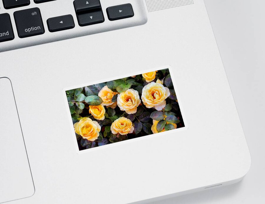 Roses Sticker featuring the painting Pierre's Peach Roses by RC DeWinter