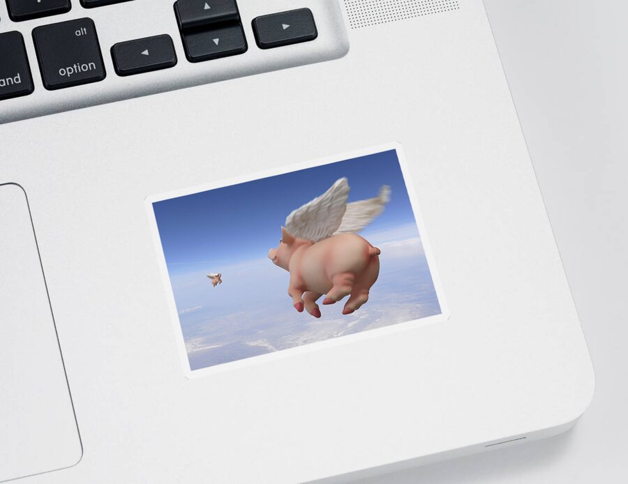 Pigs Fly Sticker featuring the photograph Pigs Fly 2 by Mike McGlothlen