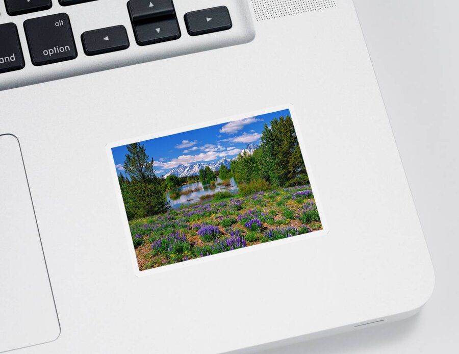 Wildflowers Sticker featuring the photograph Pilgrim Creek Wildflowers by Greg Norrell