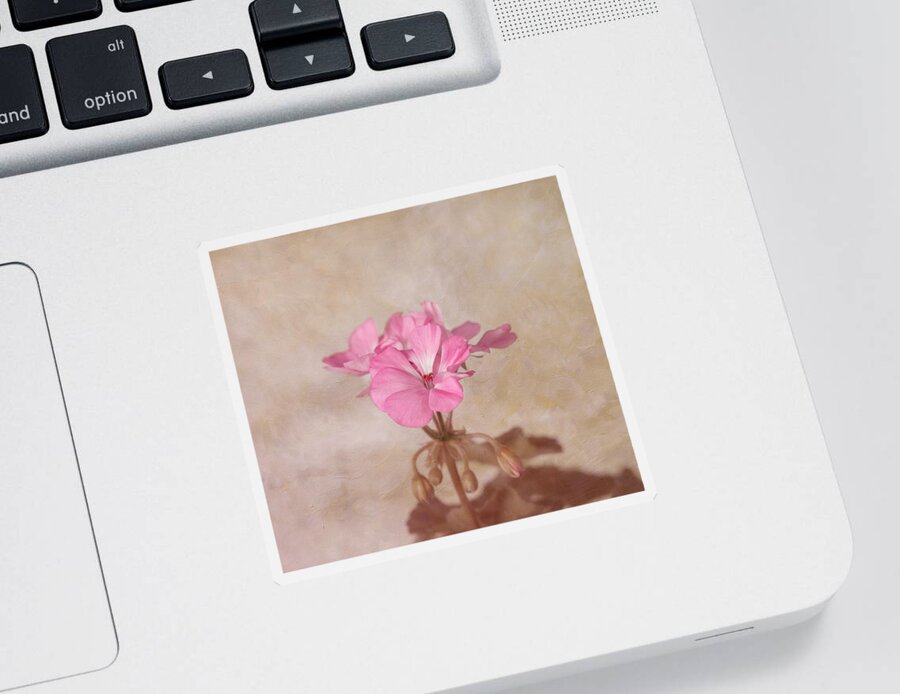 Geranium Sticker featuring the photograph Pink Geranium Flower by Kim Hojnacki