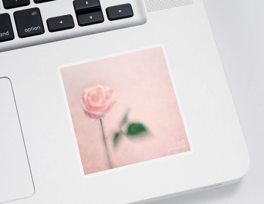 Dreamy Sticker featuring the photograph pink moments II by Priska Wettstein