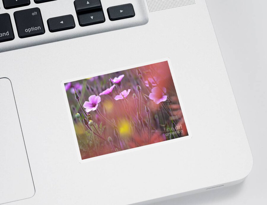 Geranium Sticker featuring the photograph Pink wild Geranium by Heiko Koehrer-Wagner