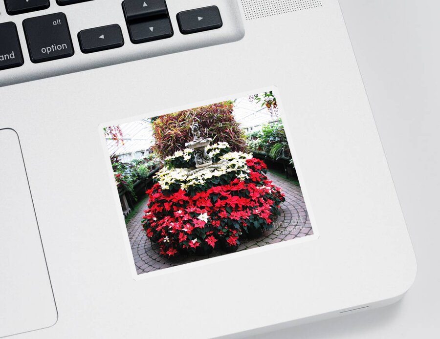 Botanical Gardens Sticker featuring the photograph Poinsettias at Botanical Gardens with Oil Painting Effect by Rose Santuci-Sofranko